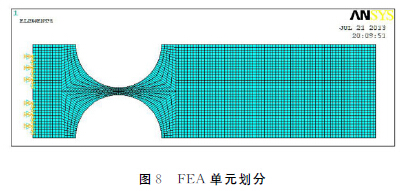 圖8 FEA單元劃分