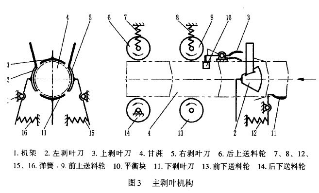 圖3 主剝葉機構